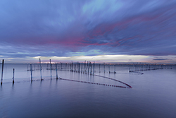 ALBUFERA