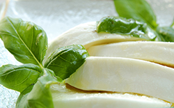 MOZARELLA