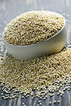 QUINUA