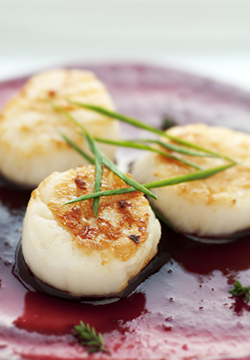 SCALLOPS