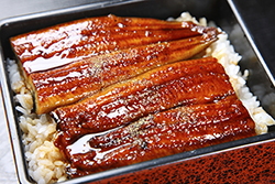 UNAGI