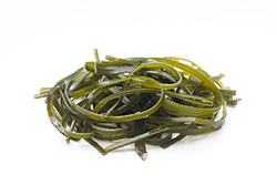 WAKAME